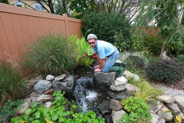 Matt Reale maintains a pond installed by AquaReale on Meetinghouse Road in Jamison, Pa., Oct. 2, 2014. (DAVID SWANSON/Staff Photographer)