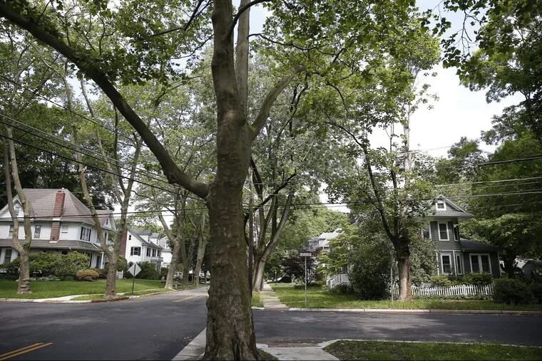 To understand the study in real life, it’s helpful to look at Haddonfield, one of the clearest examples of a well-off community in relatively poorer Camden County. Here, a tree-line block at Avondale Avenue and Euclid Avenue.