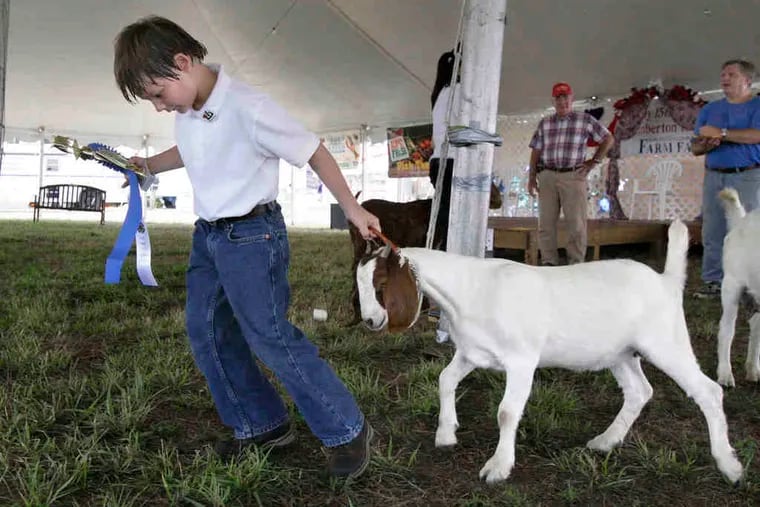 Harrison Layton, 8, of Juliustown, and his 4-month-old boer goat, Mindy, won first place in the animal's breeding category on opening day of the Burlington County Farm Fair in 2010.