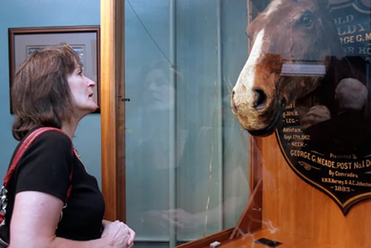 Beth Ann Huntington from Camp Hill, Pa., looks at the preserved head of Gen. George C. Meade's battle-tested horse, Old Baldy. (Akira Suwa / Staff Photographer)