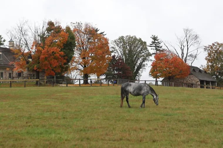 Willistown Township is home to many horse farms and riding centers.