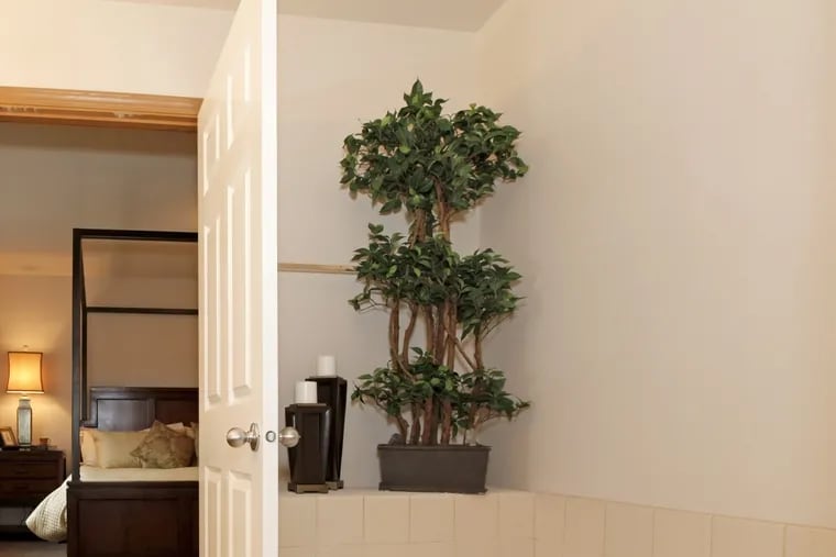 Fake plants can be incorporated into your home design to get the look you want.