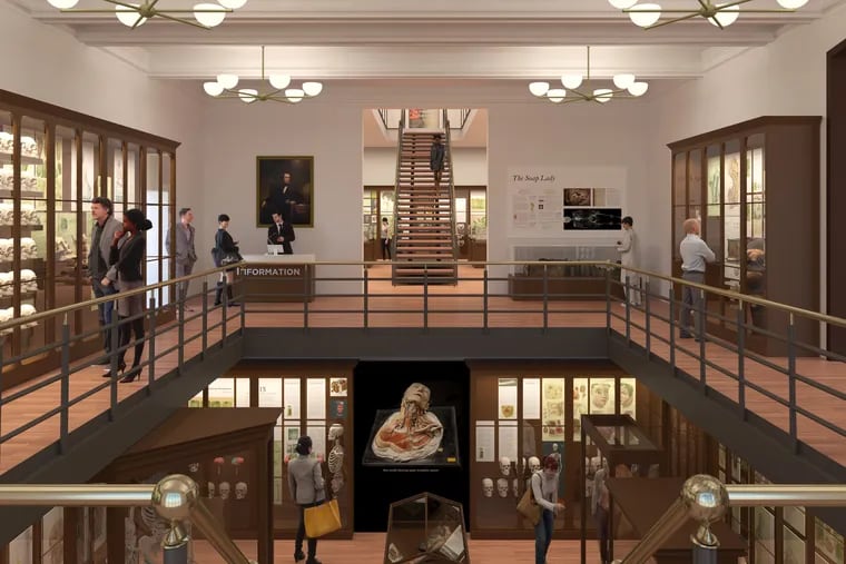 Architect's rendering of the expanded galleries for the Mutter Museum. ©KieranTimberlake