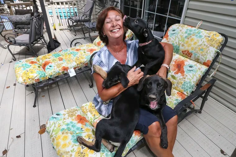 GiveItUP forSharon Bednar, pictured here at her Swedsboro, N.J. home on Aug. 26 with three, 14-week-old Shepard-Lab-Hound-mix puppies from North Carolina. She was nominated for her foster work with rescued animals.