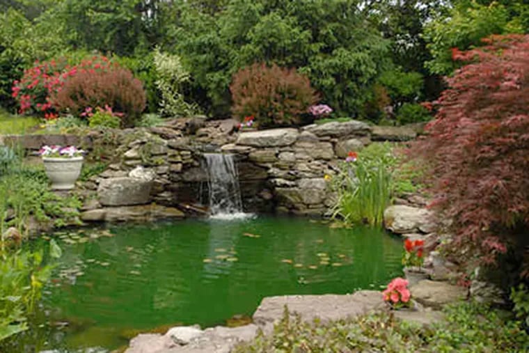 A pond with a waterfall, designed by Pondworks of Pottstown are in the Evans' yard in Lower Makefield. (Ron Tarver / Staff Photographer)