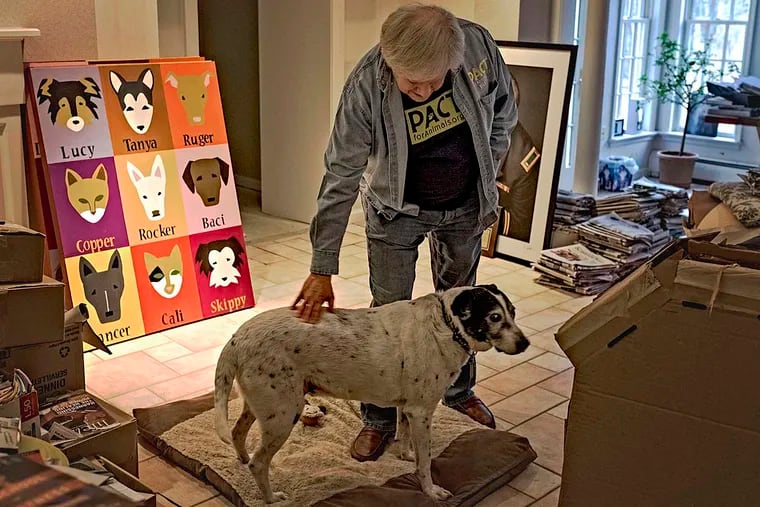 Buzz Miller founded PACT for Animals, a nonprofit that finds foster homes for pets of service members and more. His next project will pair animals with retirement-community residents.