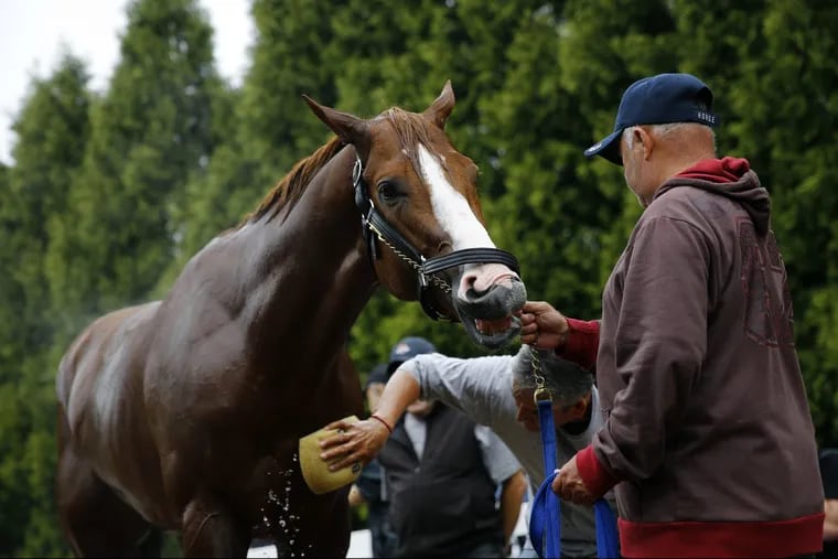 Will Justify continue his winning streak at the Preakness?