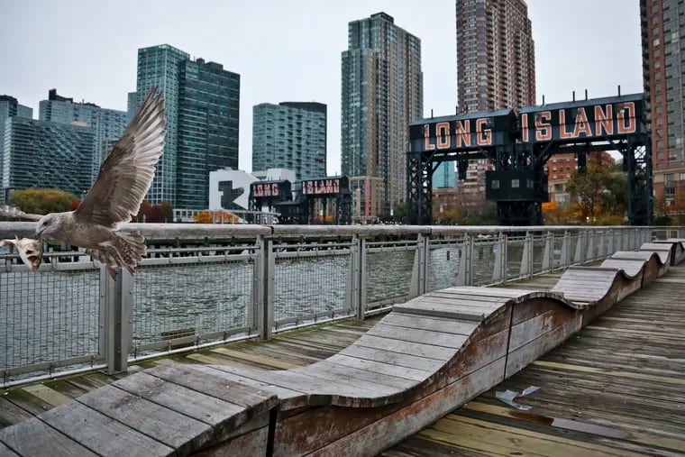 In this Nov. 13, 2018, file photo, a sea gull flies off holding fish scraps near a former dock facility, with "Long Island" painted on old transfer bridges at Gantry State Park in the Long Island City section of the Queens Borough in New York. Amazon said Thursday, Feb. 14, 2019, that it is dropping New York City as one of its new headquarter locations.