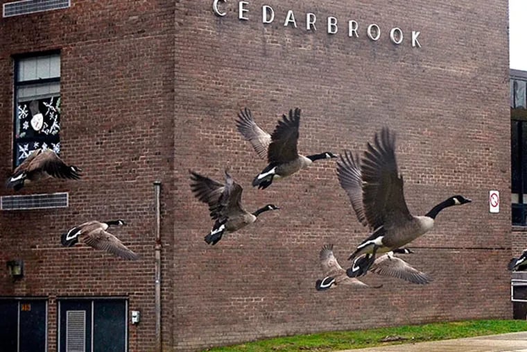 Cedarbrook Middle School will close due to mold. Previous administrations knew about the mold problems as far back as the '80s, but seemed to be crossing their fingers and hoping that the building would survive another decade. ( TOM GRALISH / Staff Photographer )