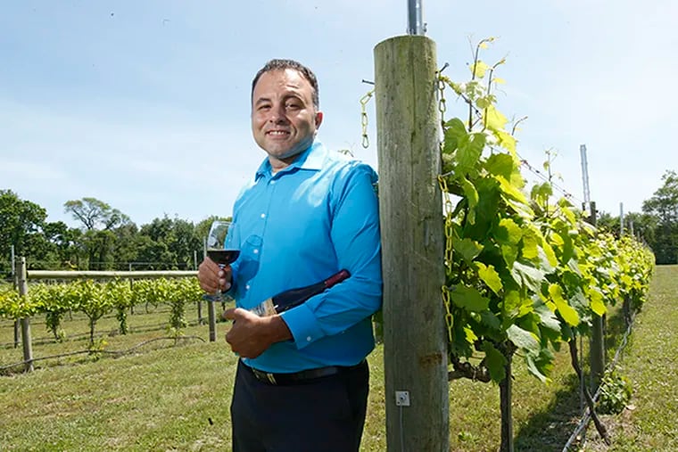 Kevin Celli, the winemaker at Willow Creek in West Cape May, in the vineyard. ( Michael Bryant / Staff Photographer )