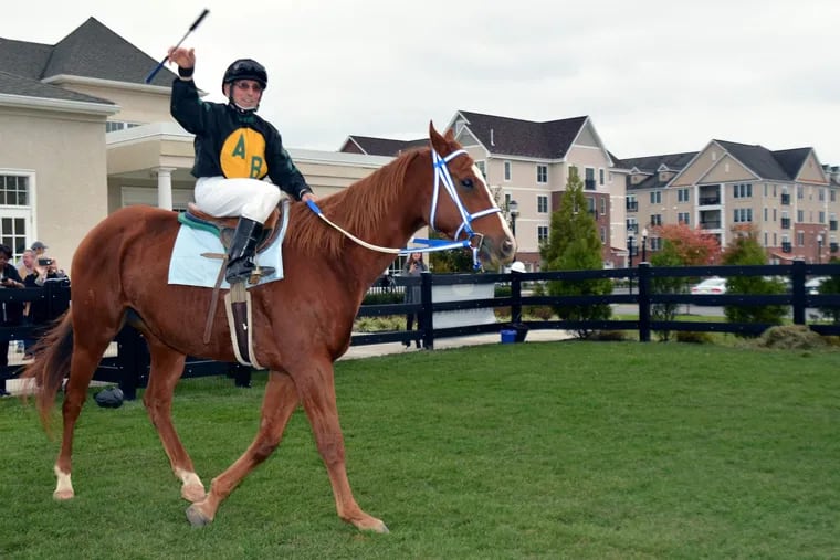 Jockey Tony Black rides retired thoroughbred JW Coop at the Plaza Grande at Garden State Park in Cherry Hill, NJ.