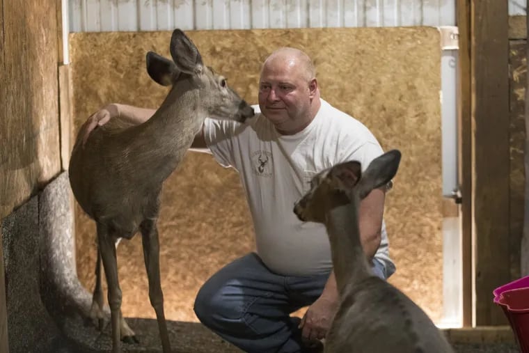 Rick Lowe with several of his deer at his home in Landisburg, Perry County.