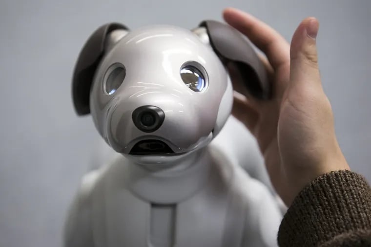 Sony's robotic dog Aibo is about the size of a Yorkshire terrier and costs $2,900.
