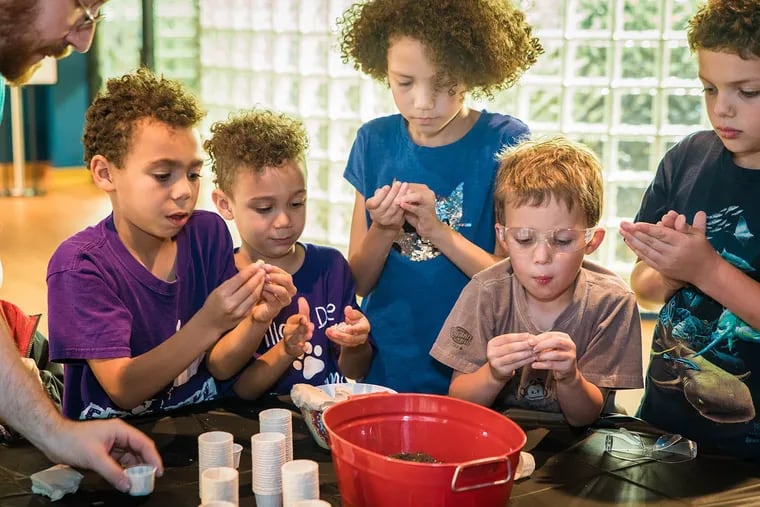 The Academy of Natural Sciences' "Ask the Scientists" series connect kids with biologists. The theme for Tuesday, June 16: My backyard.