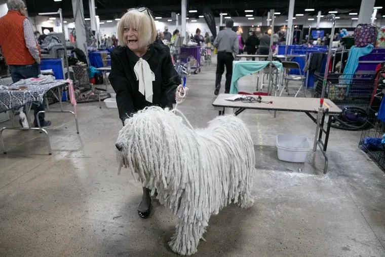 Janet Cupolo, of Hellertown, Pa., fielded a constant stream of questions from spectators who wanted photos of Addie, her komondor, a large Hungarian sheepdog, Saturday at the National Dog Show at the Greater Philadelphia Expo Center in Oaks, Montgomery County.
