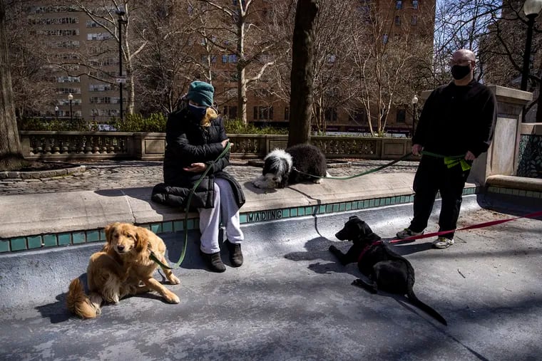 A file photo of dogs hanging out at Rittenhouse Square Park in March 2021.