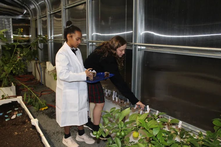 Regan Perez (right) and fellow student Jessica Staas work in the greenhouse at Gwynedd-Mercy Academy Elementary.