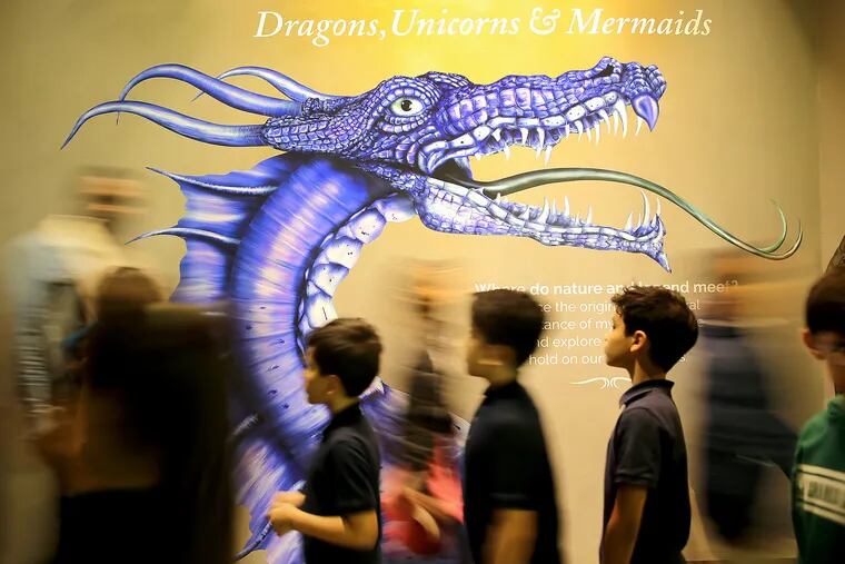 Students walk by a display for the new exhibition, Mythic Creatures: Dragons, Unicorns & Mermaids, at The Academy of Natural Sciences of Drexel University in Philadelphia on February 14, 2019. It opens February 16.