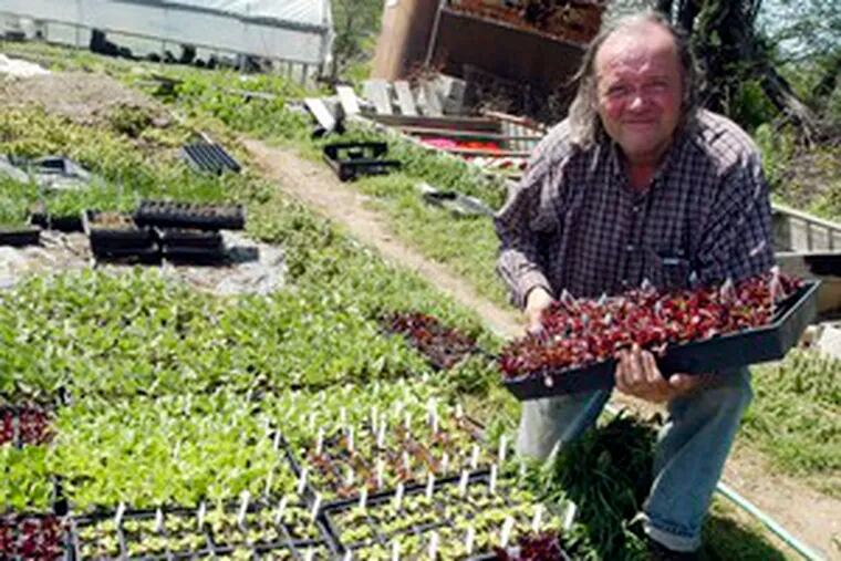 Paul Hauser with plants at his Lincoln University farm. He says the West Chester market&#0039;s motto is &quot;If you don&#0039;t grow it, you don&#0039;t sell it.&quot;