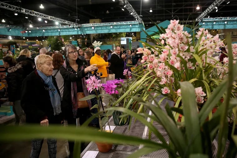 Attendees look at winning plant specimens during the first day of the annual Philadelphia Flower Show at the Pennsylvania Convention Center on March 2.
