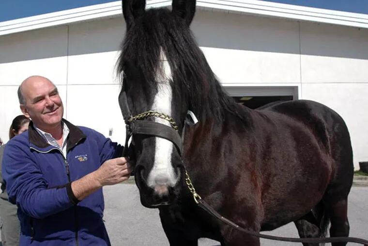 Benson Martin Jr. worked with racehorses and show horses at Penn Vet’s large-animal hospital.