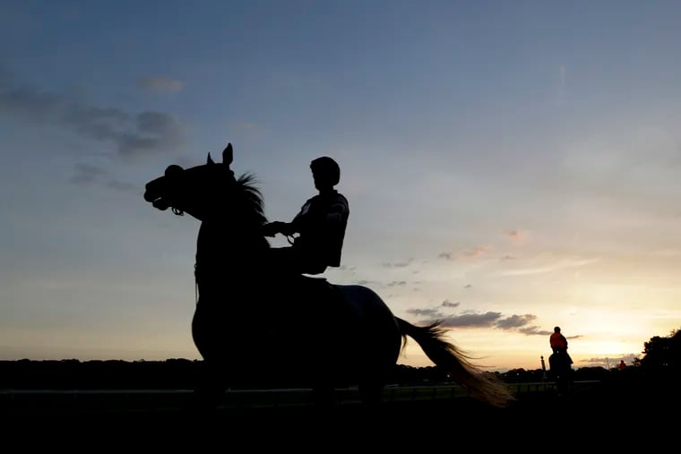 Horses arrive at sunrise for work outs at Belmont Park in Elmont, N.Y., Friday, June 7, 2019. The 151st Belmont Stakes horse race will be run on Saturday, June 8, 2019. (AP Photo/Seth Wenig)