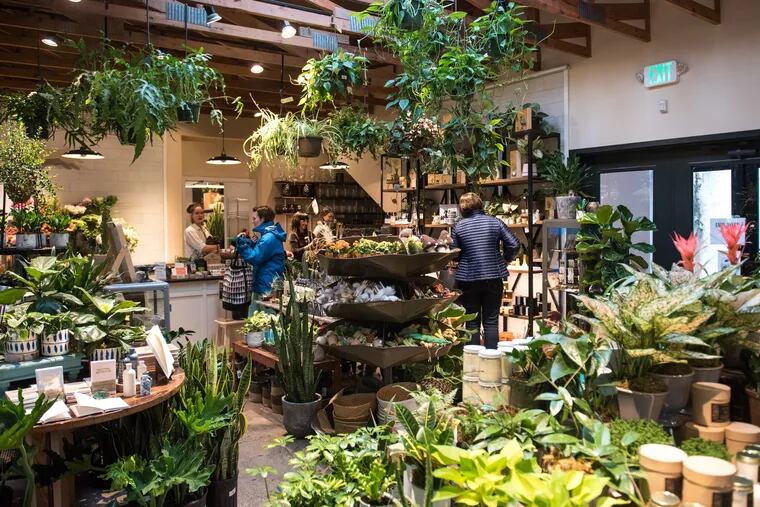 East Falls' Vault + Vine welcomes guest to grab a coffee in its cafe before perusing plants of all kinds and locally crafted goods for sale.