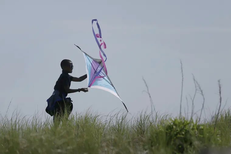 A young man retrieves his kite from the Ocean City dunes after winds sent it spiraling downward in June 2019. Friday probably would be another tough day to fly a kite.