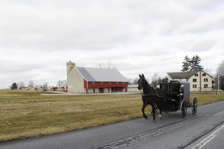 An Amish buggy enters the long driveway into the Oregon Dairy supermarket and adjoining farm property in Manheim.