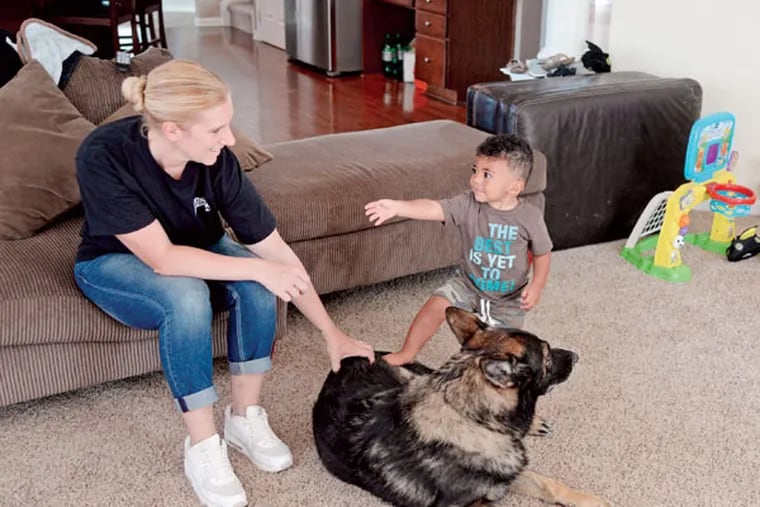 Glassboro Police Cpl. Mindy Knight, wife of Sgt. Ryan Knight, and their son Ryan Jr. at home with Bento, Ryan Knight’s recently retired canine partner on the Glassboro force. (TOM GRALISH/Staff Photographer)
