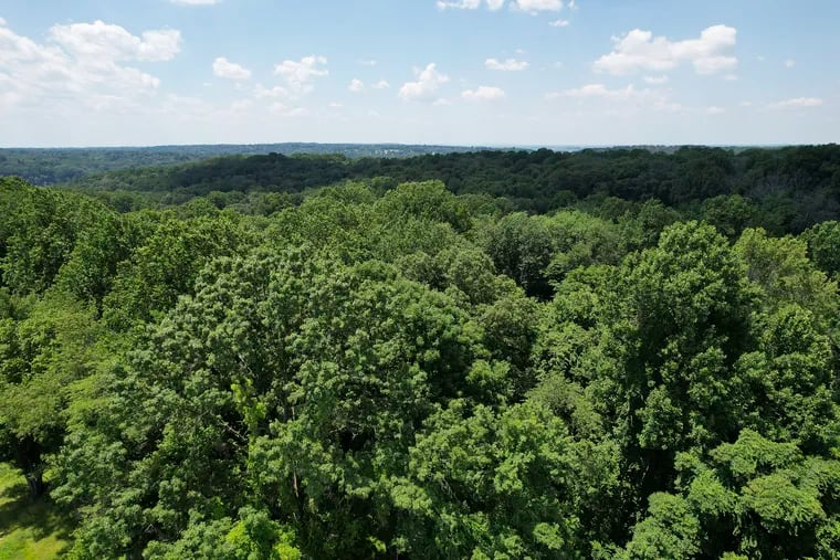A drone view of land that the Schuylkill Center is planning to sell off is photographed near Port Royal Avenue and Eva Street in the Roxborough section of Philadelphia. The center is planning to sell off 24 acres of wooded area, which was once the Boys Scout tract.