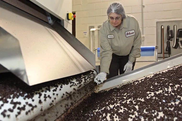 Stephanie Rood, who has worked at Blommer's chocolate factory for 25 years, inspects the chocolate chips coming out of the Drop Line as they make their way to the conveyor belt to take them to the hopper. (MICHAEL BRYANT/Staff Photographer)