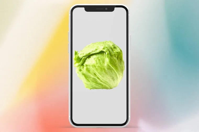 From a head of lettuce outlasting Liz Truss as prime minister to Olivia Wilde's salad dressing, it's been a big week for lettuce on the internet.