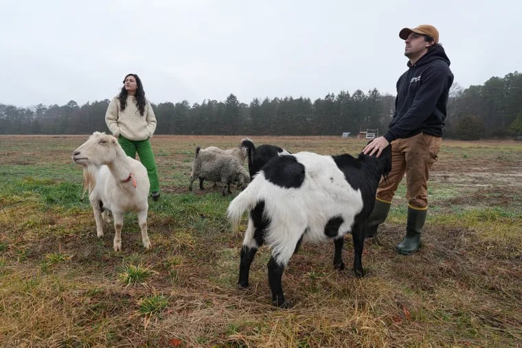 Joe Kalucki and Kelly O’Neill walk their goats at Timberline Farms in Hammonton. The couple moved from South Philly to South Jersey and are making their way with humor and social media.