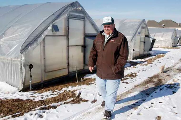 Erwin Sheppard is walking by the greenhouses at his farm in Cedarville, NJ. 01-31-2014 ( AKIRA SUWA  /  Staff Photographer )