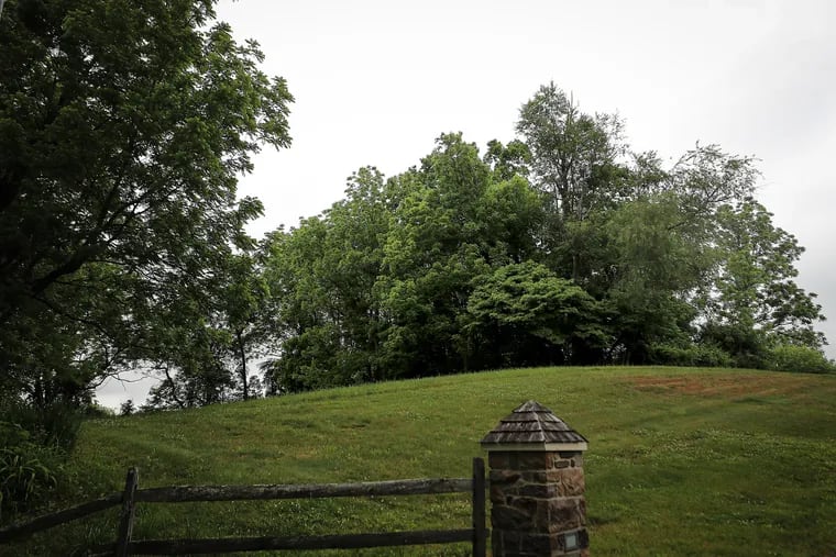 A view of a half-acre plot (the wooded area) owned by Carol McCloskey in the Brandywine Valley in Chester County. The area is known as Indian Knoll and designated by the county as a historical Native American burial site of the Lenape.