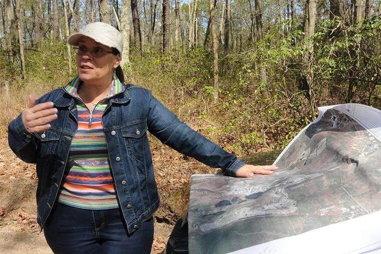 “It’s a good, thriving woods,” Denise Garner, a Jackson environmental commissioner, says of the trees that are slated to be cut for Six Flags’ solar project. (CURT HUDSON/For the Inquirer)