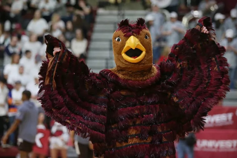 Flapping but unflappable, the St. Joseph’s Hawk urges the crowd on. Over a 63-year history, the Hawk has been named the nation’s top mascot by Sports Illustrated and ESPN and been nominated to the Mascot Hall of Fame.
