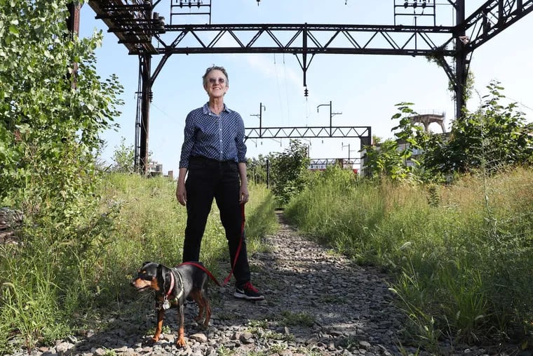 Sarah McEneaney with her dog, Mango, stands at the junction of the viaduct and the end of the proposed Phase One of the Rail Park.