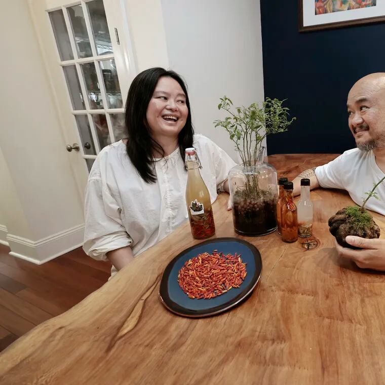 Nicky Uy (left) and Omar Buenaventura with siling labuyo in several different forms: in homemade spicy coconut vinegar, dried, and growing in their Philadelphia home.
