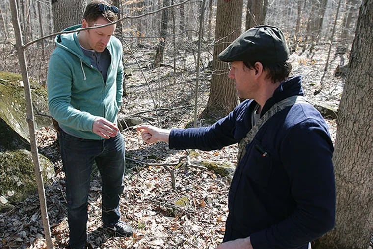 Chef Eli Kulp, left, samples a Trout Lily that professional forager, Evan Strusinski, right, collected as they were foraging along a trail in Hopewell, NJ, on April 9, 2014. Kulp was named one of Food & Wine's Best New Chefs and cooks at Fork, High Street Market and a.kitchen. ( DAVID MAIALETTI / Staff Photographer )