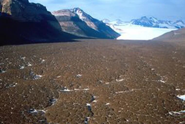 Microorganisms were found in ice collected in Antarctica, an environment believed to resemble the surface of Mars.