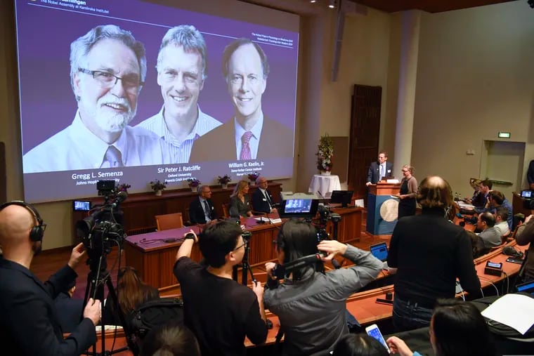 Thomas Perlmann (far right), Secretary-General of the Nobel Committee, announces the 2019 Nobel laureates in Physiology or Medicine during a news conference in Stockholm, Sweden, on Monday. The prize has been awarded to scientists (from left on screen) Gregg L. Semenza, Peter J. Ratcliffe, and William G. Kaelin Jr.