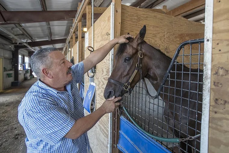 Richi Vega, a horsse trainer who has achieved 1,000 victories, spends some time with Pahall Revear, a 3 year old he trains out of his barn at Parx Racing in Bensalem.