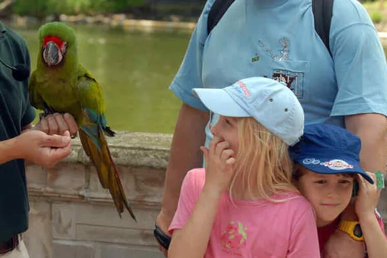 Katie Trojak, 8, with her brother, Michael, 6, gets a bird's-eye view of Bella the red-fronted macaw at the McNeil Avian Center at the Philadelphia Zoo. Yesterday's opening capped a birdhouse-reinvention effort begun in 1998. The 11,000-square-foot exhibit hall is home to 120 birds.