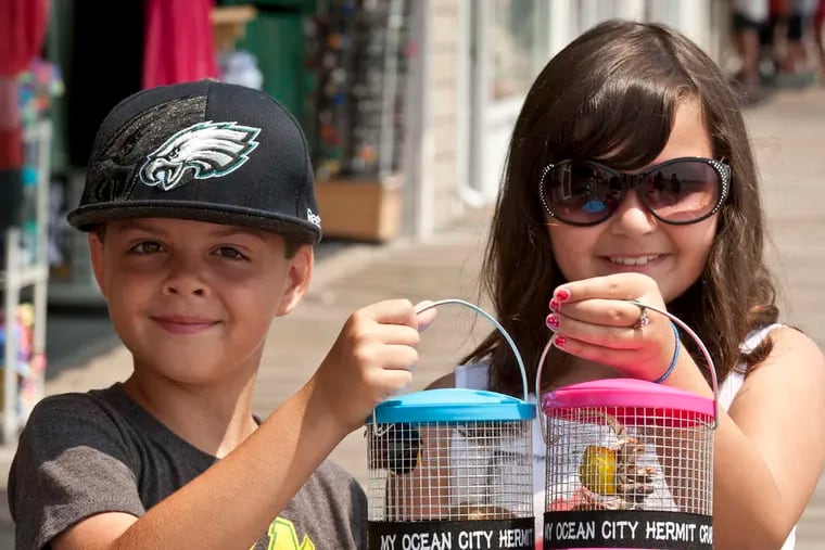 Twins Michael and Maria Rose Stowell display their hermit crabs in Ocean City. Sellers of hermit crab say the pets are a good introduction for children to learn how to take care of an animal.