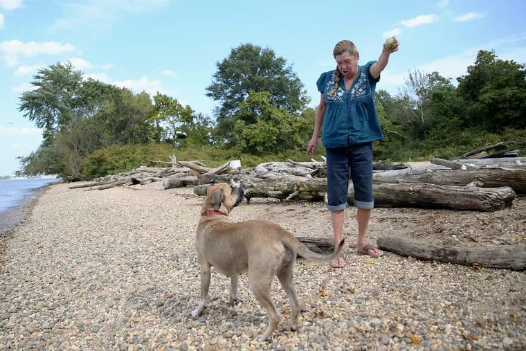 Jeri Sayer of Franklinville, N.J., tosses a ball for her dog Gracie, a 2-year-old Boxer-Mastiff mix, to fetch along the Delaware River in National Park, N.J., on a warm day earlier this month. For the 10th consecutive year, October temperatures in Philadelphia will likely finish above normal.