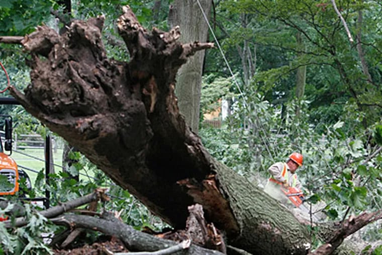 An Asplundh tree employee cuts through a fallen tree on Knowlton Road that had taken out power lines in Middletown Twp., Delaware County. (Charles Fox / Staff)