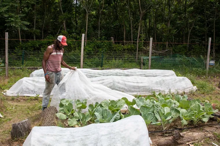 Micaiah Hall, 42, learned to farm as a kid and since 2017 has been doing so with his wife, Cynthia, at their Free Haven Farms in Lawnside, NJ. Rather than using chemicals, they cover plants with mesh so that predatory pests can't consume the crops. The mission of the farm "is all about the accessibility of produce and to help people understand what that is," says Micaiah.
