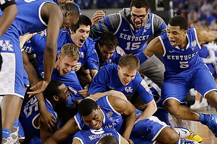 Cat survives dog pile